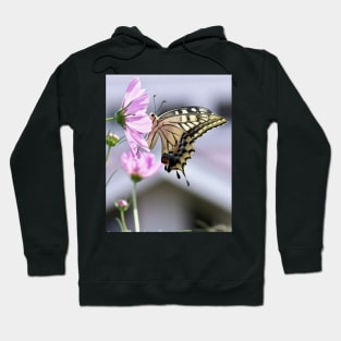 Brown butterfly Hoodie